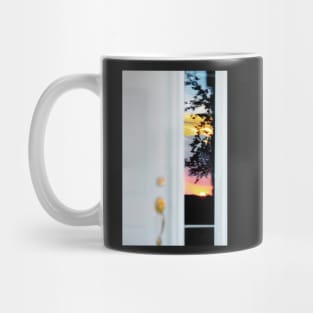 Sunset reflection in window panel... Mug